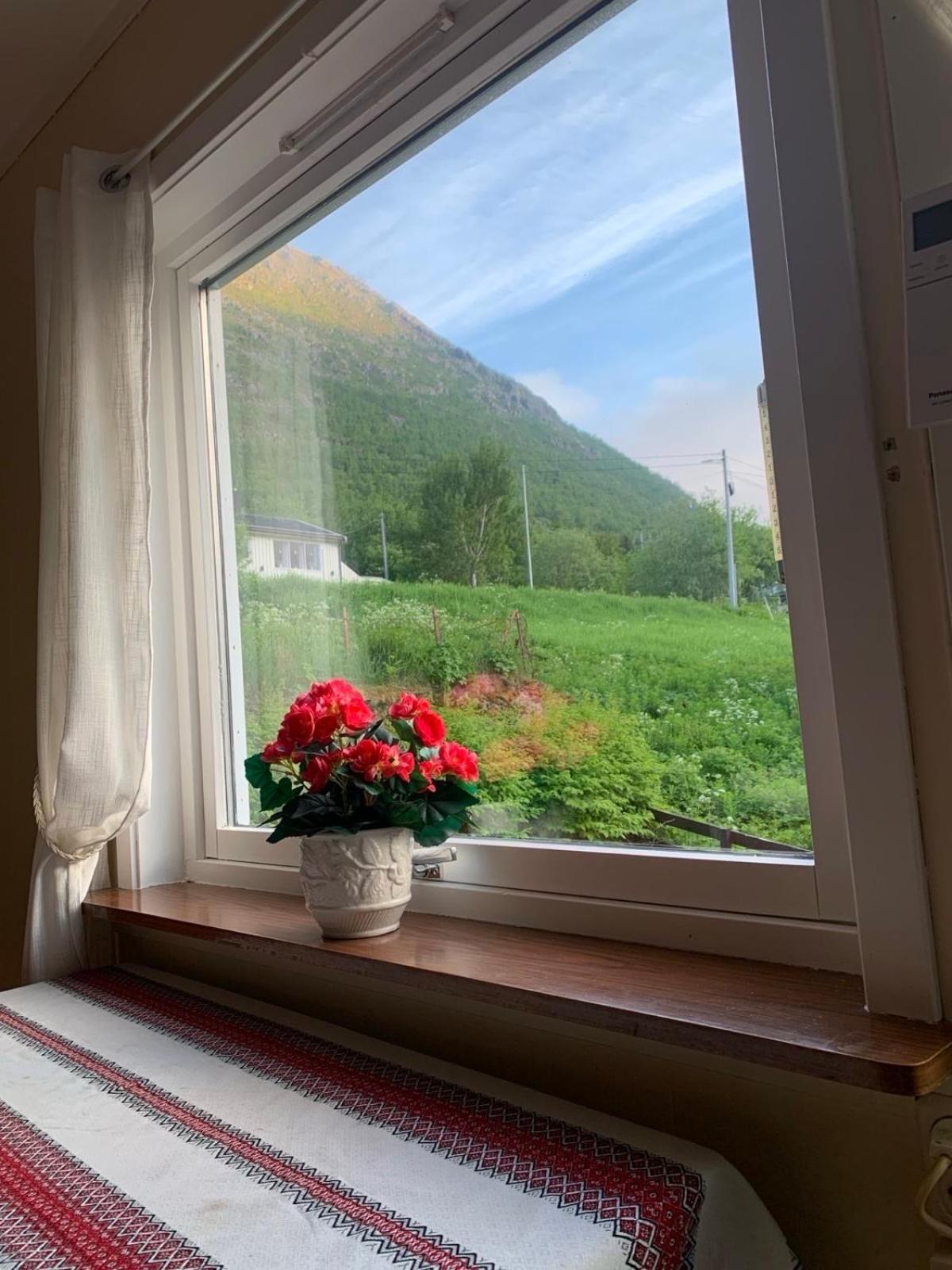 House Apartment Gryllefjord Exterior foto